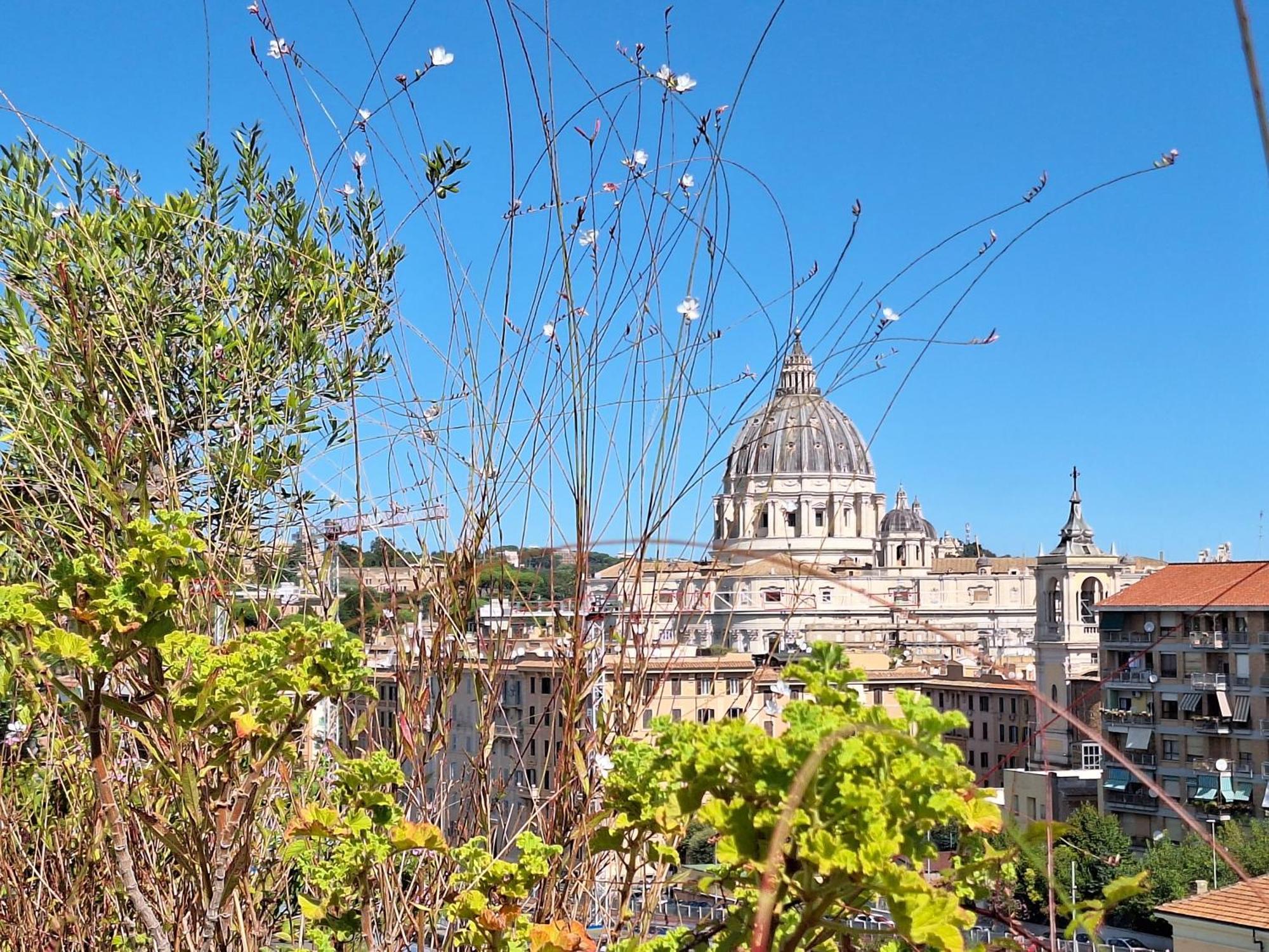 Delmirani'S Book Apartments - Vatican View Rome Exterior photo